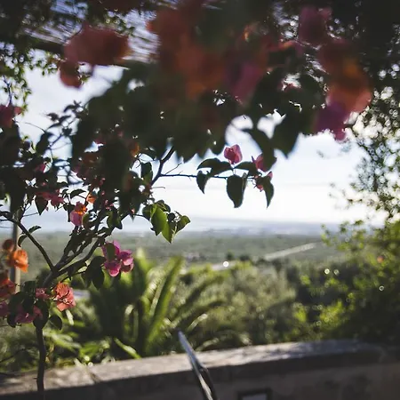 Apartamento Manganaro *